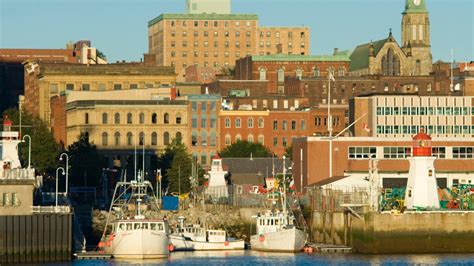 city of st john's jobs|City Of St John's.